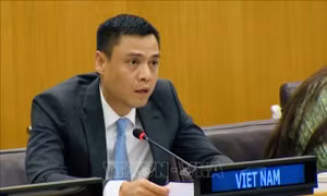 Việt Nam đề xuất UNDP sáng tạo trong huy động nguồn lực cho phát triển