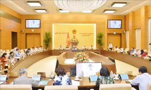 Nhiều ý kiến khác nhau về mở rộng chủ thể ký thỏa thuận quốc tế