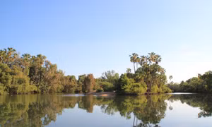 Australia phát triển hệ thống giám sát, dự báo chất lượng nước toàn cầu