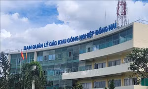 Nhiều hạn chế trong quản lý nhà nước về môi trường tại Ban Quản lý các khu công nghiệp Đồng Nai