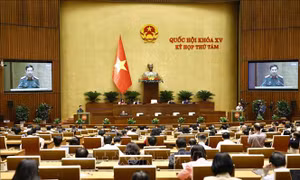  Tạo cơ sở pháp lý xây dựng đội ngũ sĩ quan Quân đội nhân dân Việt Nam vững mạnh