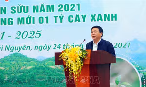Phát động Tết trồng cây tại nơi ra đời Trường Đảng Nguyễn Ái Quốc