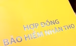 Tăng kiểm tra, kiểm soát, kiểm toán nội bộ với đại lý bảo hiểm
