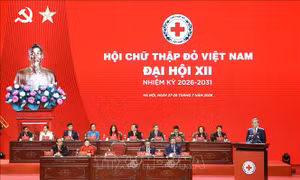 Tổng Bí thư, Chủ tịch nước Tô Lâm: Chuyển từ cứu trợ tình thế sang chủ động, nâng cao khả năng chống chịu của cộng đồng