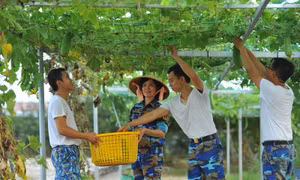 Nhân 46 năm thống nhất đất nước: 'Vũ khí ta mang đâu có là tên lửa'
