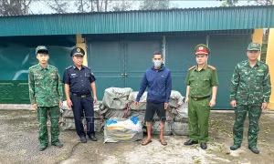 Thu giữ 800 kg nầm lợn đông lạnh không có hóa đơn
