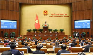  Thông qua cơ chế, chính sách đặc thù thực hiện các chương trình mục tiêu quốc gia