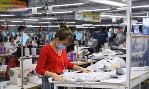Tăng trưởng kinh tế trong tình hình mới: Thành công không đến từ một phía