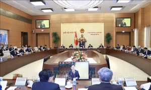 Tiếp tục chỉ định luật sư bảo vệ quyền và lợi ích hợp pháp cho người chưa thành niên
