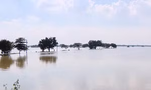 Dự báo lũ trên sông Thương xuống chậm, lũ sông Cầu đạt đỉnh vào trưa và chiều 9/10