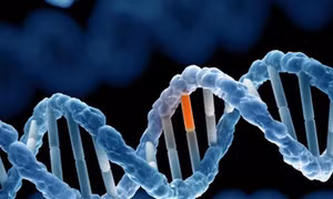 Phát hiện gene 'công tắc tổng' giúp duy trì cân bằng cơ thể