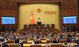 Quốc hội thông qua Luật Bảo hiểm xã hội (sửa đổi)