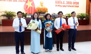 Phê chuẩn kết quả bầu, miễn nhiệm chức vụ Phó Chủ tịch UBND thành phố Đà Nẵng