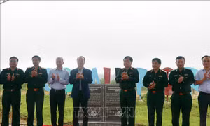 Công bố hoàn thành xử lý hiện trường đất nhiễm chất độc dioxin tại sân bay A So