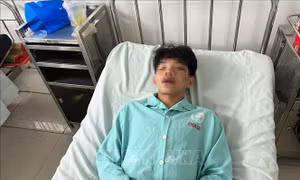 Bình Phước: Làm rõ vụ một học sinh bị đánh hội đồng trước cổng trường