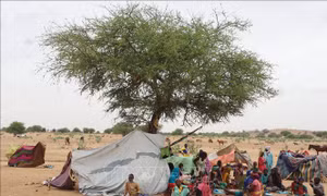Khoảng 5,5 triệu người Sudan phải rời bỏ nhà cửa đi lánh nạn 