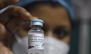 Tiêm kết hợp vaccine Covishield, Covaxin có thể mang lại hiệu quả cao hơn