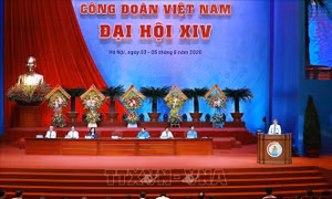 Chăm sóc sức khỏe chủ động để người lao động yên tâm cống hiến