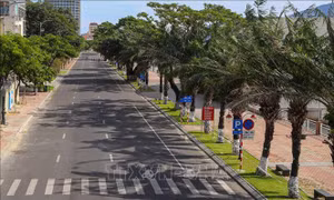 Đà Nẵng, Bình Định quyết liệt thực hiện các biện pháp phòng, chống dịch COVID-19
