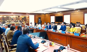 Việt Nam - EU hợp tác quản trị kinh tế, thúc đẩy cải cách tài chính công
