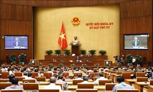 Kỳ họp thứ 4, Quốc hội khóa XV: Không bỏ lọt, bỏ sót đối tượng vi phạm 