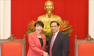 Trưởng Ban Tổ chức Trung ương tiếp Bộ trưởng Bộ Nội vụ, Thông tin và Truyền thông Nhật Bản