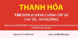 Thông tin chi tiết sắp xếp các đơn vị hành chính cấp xã của tỉnh Thanh Hóa