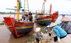 Đưa Thái Bình trở thành tỉnh phát triển toàn diện - Bài cuối: 'Khát vọng' vươn ra biển lớn
