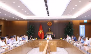 Mở ra hướng mới trong phát triển kinh tế, làm giàu từ đất trồng lúa