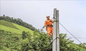 Cảnh báo an toàn điện trong bão số 5