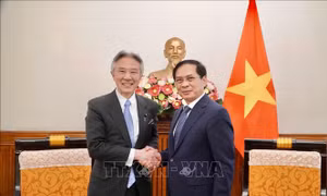 Thúc đẩy hợp tác văn hóa, giáo dục, khoa học công nghệ Việt Nam - Nhật Bản