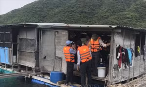 Tự ý trở lại lồng bè, 2 ngư dân bị mắc kẹt trong mưa bão ở Vạn Ninh, Khánh Hòa
