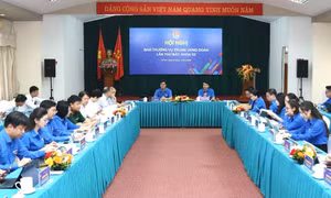 Đã thực hiện trên 42.000 công trình, phần việc thanh niên