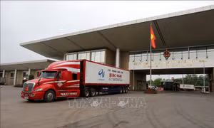 Kiểm soát tốt dịch COVID-19, Việt Nam trở thành điểm tăng trưởng bền vững