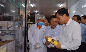 Doanh nghiệp cá tra 'bỏ ngỏ' thị trường Việt Nam 