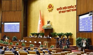 Kỳ họp thứ 8, Quốc hội khóa XV: Thông qua Luật Địa chất và khoáng sản