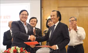 Tăng cường kết nối doanh nhân kiều bào với doanh nghiệp trong nước