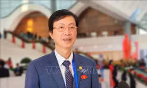 Dấn thân, lan tỏa những giá trị tốt đẹp
