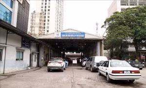 Quản lý hoạt động đăng kiểm: Giảm ùn tắc, ngăn tiêu cực