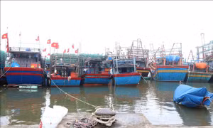 Ứng phó với bão Rai: Quảng Trị không cho tàu thuyền ra khơi từ 19 giờ ngày 17/12