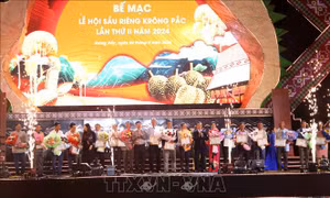 Cơ hội nâng tầm thương hiệu trái sầu riêng