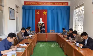 Tạm đình chỉ công tác hai Chủ tịch phường do có dấu hiệu vi phạm pháp luật