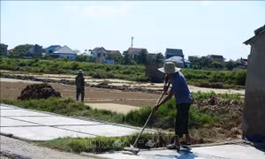 Diêm dân Thanh Hóa mặn mòi mưu sinh giữa trời nắng nóng