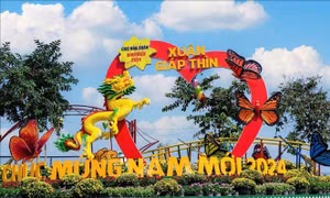 Nhiều chợ hoa Tết tại TP Hồ Chí Minh đồng loạt mở cửa đón khách