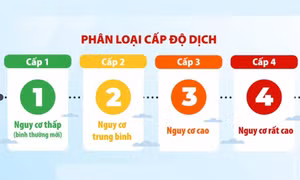 Thái Bình điều chỉnh cấp độ dịch COVID-19 ở một số địa phương