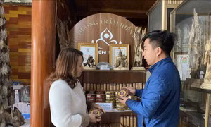 Đầu tư phát triển thương hiệu dó trầm Hương Khê