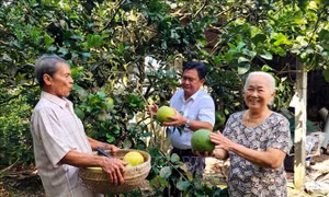 Lan tỏa giá trị văn hóa từ gia đình ra cộng đồng