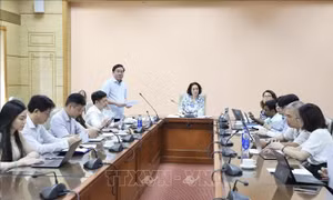 Khẩn trương triển khai các biện pháp phòng, chống dịch bệnh do virus Ebola