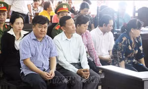 Lừa đảo chiếm đoạt hơn 147 tỷ đồng, Giám đốc Công ty Thiên Mã lĩnh án 18 năm tù