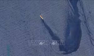 Yemen nỗ lực ngăn chặn thảm họa môi trường tại Biển Đỏ 